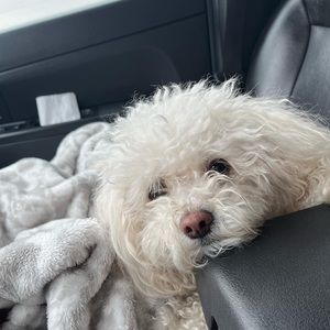 Meet your Posher, Sofie